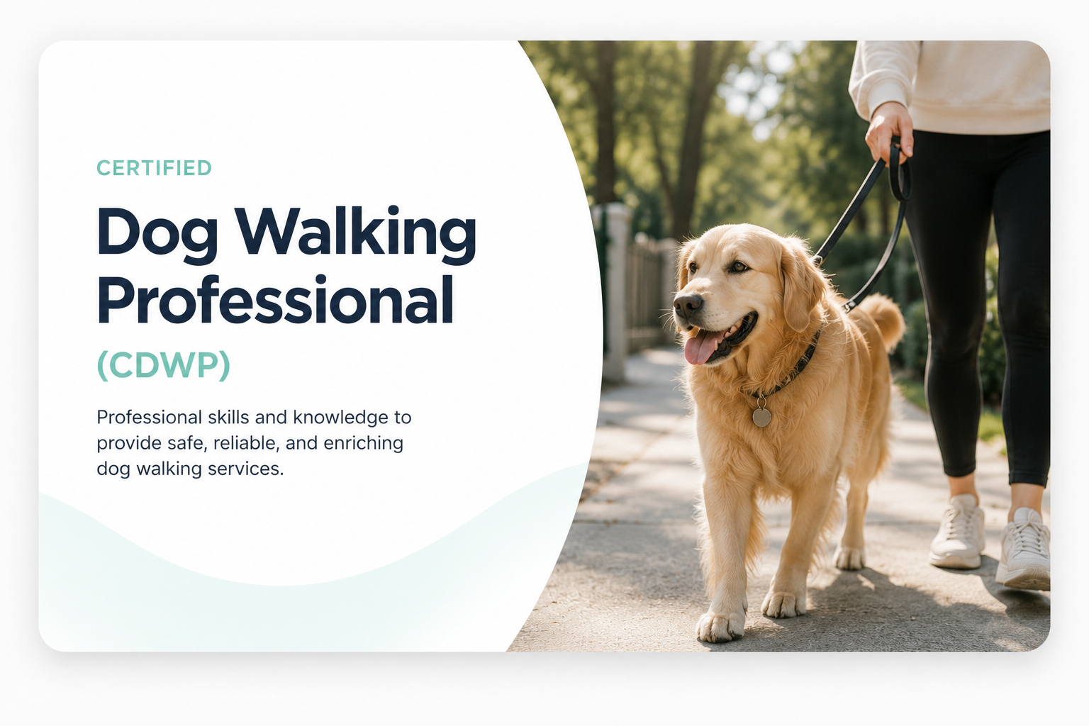 Certified Dog Walking Professional (CDWP)