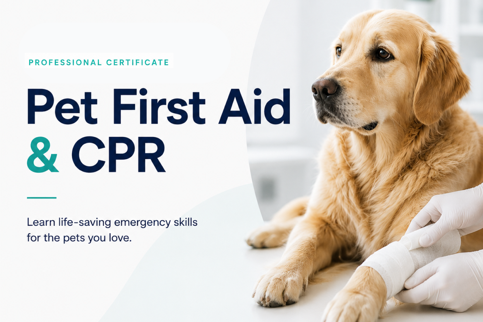 Certified Pet First Aid & CPR (CPFA)